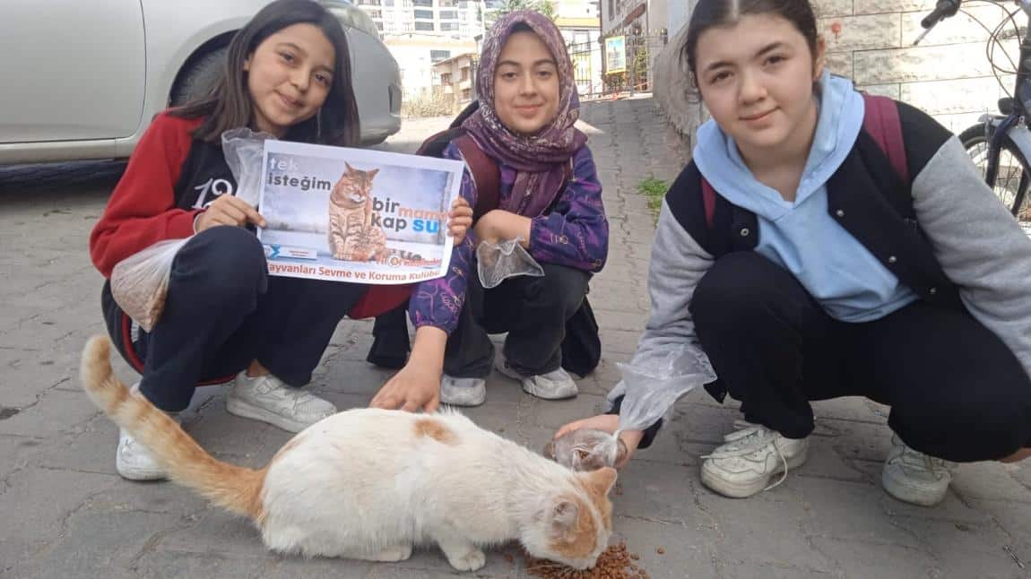 Öğrencilerimiz Sokak Hayvanlarına Mama Dağıttılar